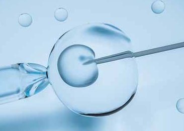 2026青岛试管医院费用和成功率数据，一文带你全部看完！