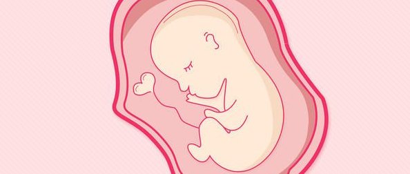 FSH值过高说明卵泡质量差吗？试管婴儿促排卵怎样提高卵泡质量？