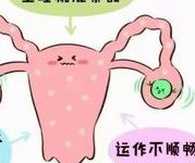 试管婴儿长方案取出来的卵子都是能用来配成胚胎的吗？