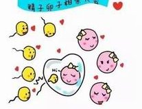 2026试管婴儿要二胎流程大公开！有冻胚能节省不少时间