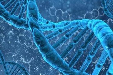 汕头第三代试管婴儿需要多少钱？