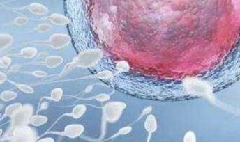 2026宜昌哪家试管医院成功率高？附湖北三代试管医院名单介绍